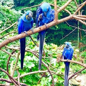 Meet your Posher, Fontella